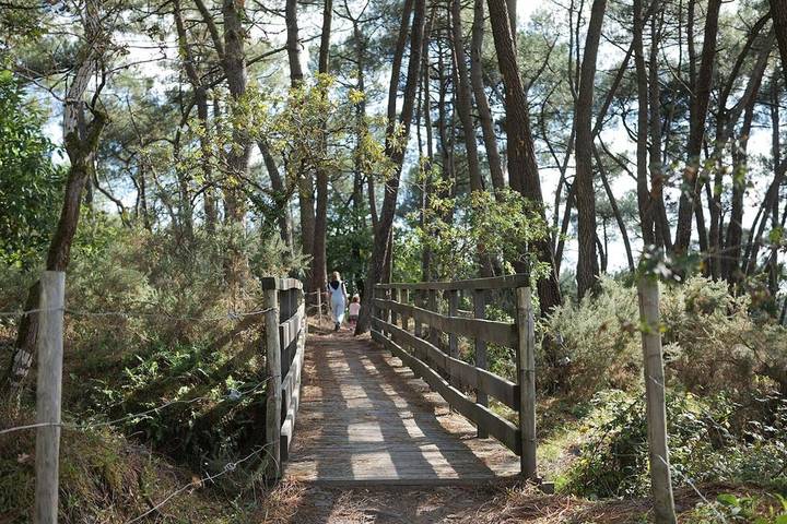 Location de vacances pour 12 personnes, animaux acceptés à Saint-Dolay - 4