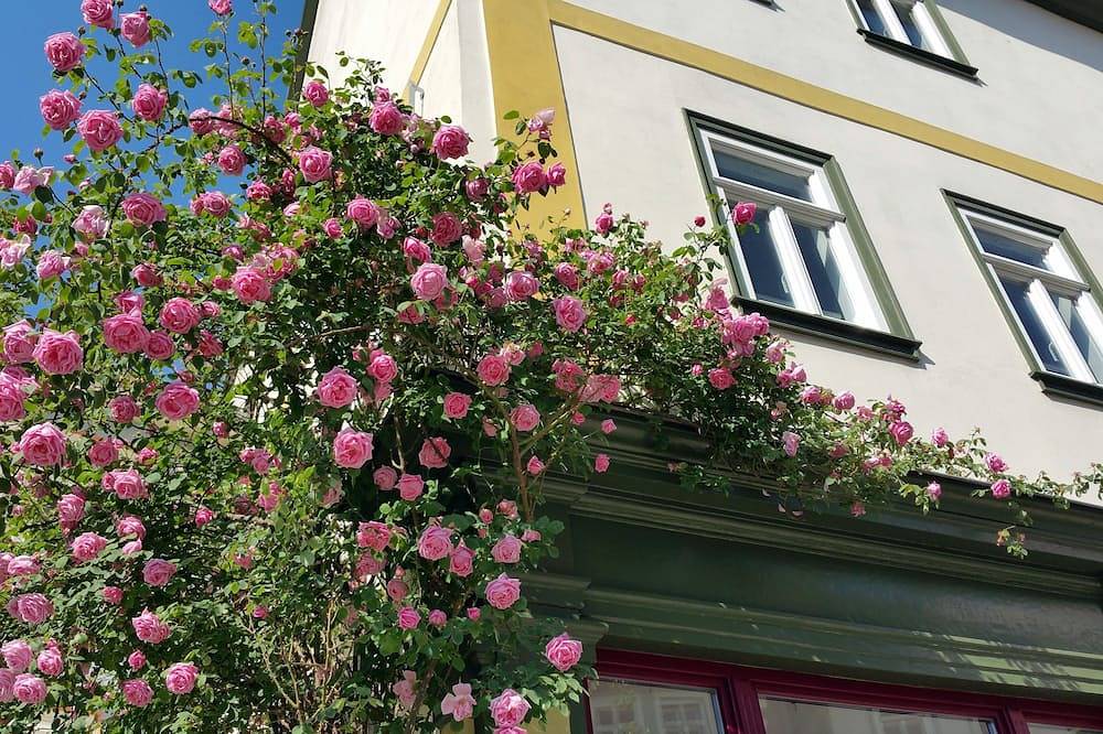 Ganze Wohnung, Geräumige 4 Sterne Maisonettewohnung im Herzen von Bad Langensalza in Bad Langensalza, Unstrut-Hainich-Kreis