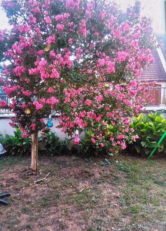 Gîte pour 5 personnes, avec jardin dans les Pays de la Loire - 3