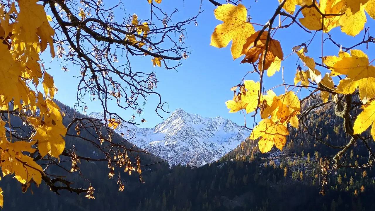 Ganzes Studio, Studio für 4 Personen (36 m²) in St. Jakob in Defereggen in Sankt Jakob in Defereggen, Bezirk Lienz