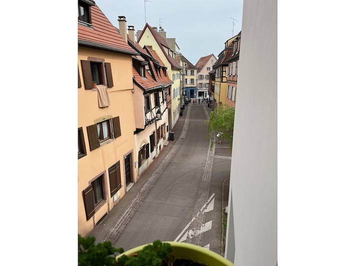 Holiday apartment with 1 bedroom in Colmar, Colmar region