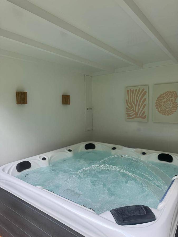 Gîte pour 2 personnes, avec sauna ainsi que jacuzzi et jardin à Tiel - 4