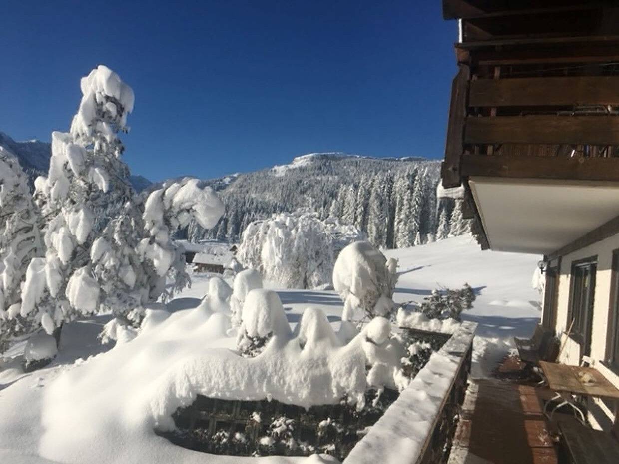 Ganze Wohnung, Ferienwohnung Fewo 2 am Auweg mit Bergblick, Gemeinschaftsgarten und Wlan in Hirschegg Kleinwalsertal, Mittelberg