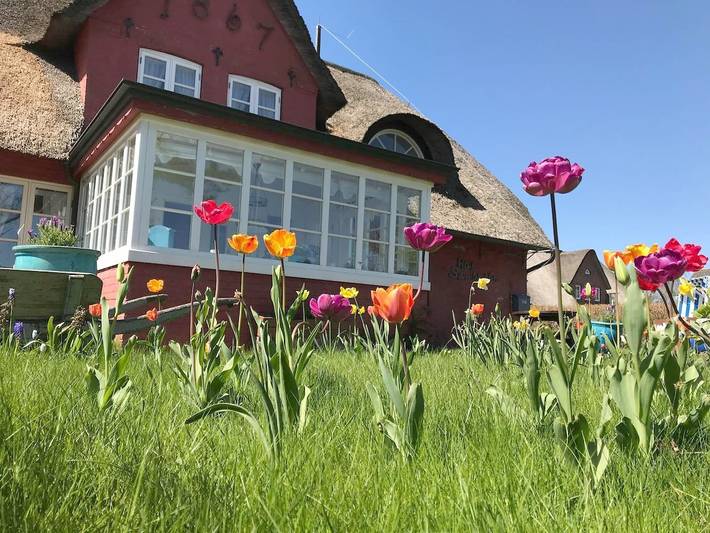 Ferienwohnung für 2 Personen, mit Terrasse und Garten in Süddorf