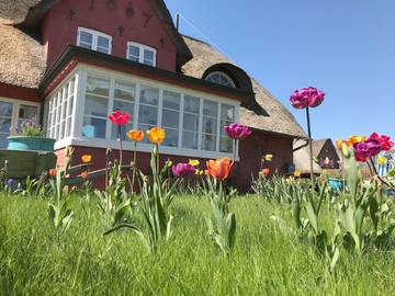 Ferienwohnung für 2 Personen, mit Garten und Terrasse, mit Haustier in Nebel