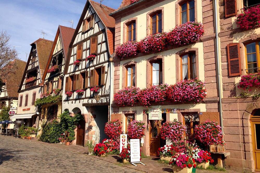 Maison confortable au pied du vignoble en Alsace près de Colmar in Zimmerbach, Région de Colmar