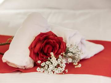 Holiday Apartment for 2 People in Grindelwald, Western Alps, Photo 3