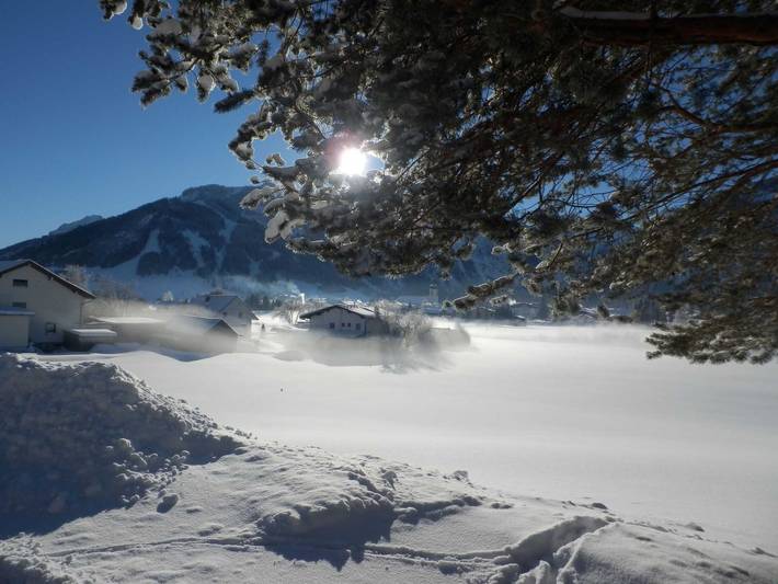 Ferienwohnung für 4 Personen, mit Balkon und Ausblick, mit Haustier in Tannheim (Tirol) - 4
