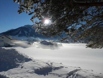 Ferienwohnung für 4 Personen in Tannheim (Tirol), Allgäuer Alpen (Österreich), Bild 3