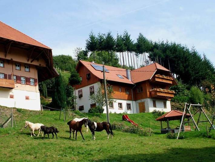 Ferienwohnung für 5 Personen, mit Terrasse und Garten, kinderfreundlich in Schuttertal