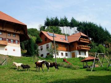 Ferienwohnung für 5 Personen, mit Terrasse und Garten, kinderfreundlich in Schuttertal