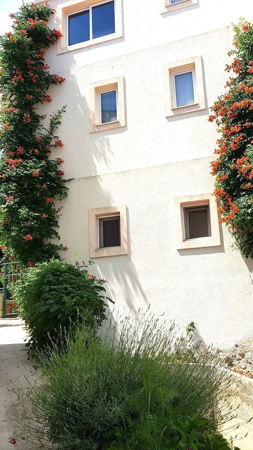 Ganze Wohnung, Apartments by the sea Igrane, Makarska - 24626 in Igrane, Makarska Riviera