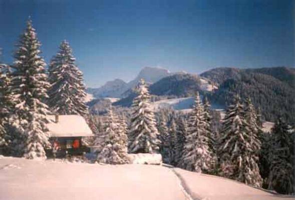 Wandern Schneeschuhe 2Hunde Ok geniessen Top Preis in Châtel-Saint-Denis, Lac Léman
