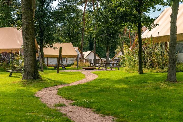 Camping für 4 Personen, mit Garten in Overijssel - 4