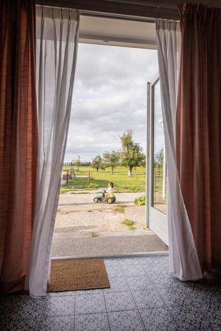 Location de vacances pour 5 personnes, avec vue et terrasse, animaux acceptés dans Hem - 3