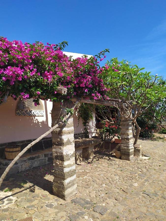 Gîte pour 4 personnes, avec vue ainsi que terrasse et jardin à Ustica - 4