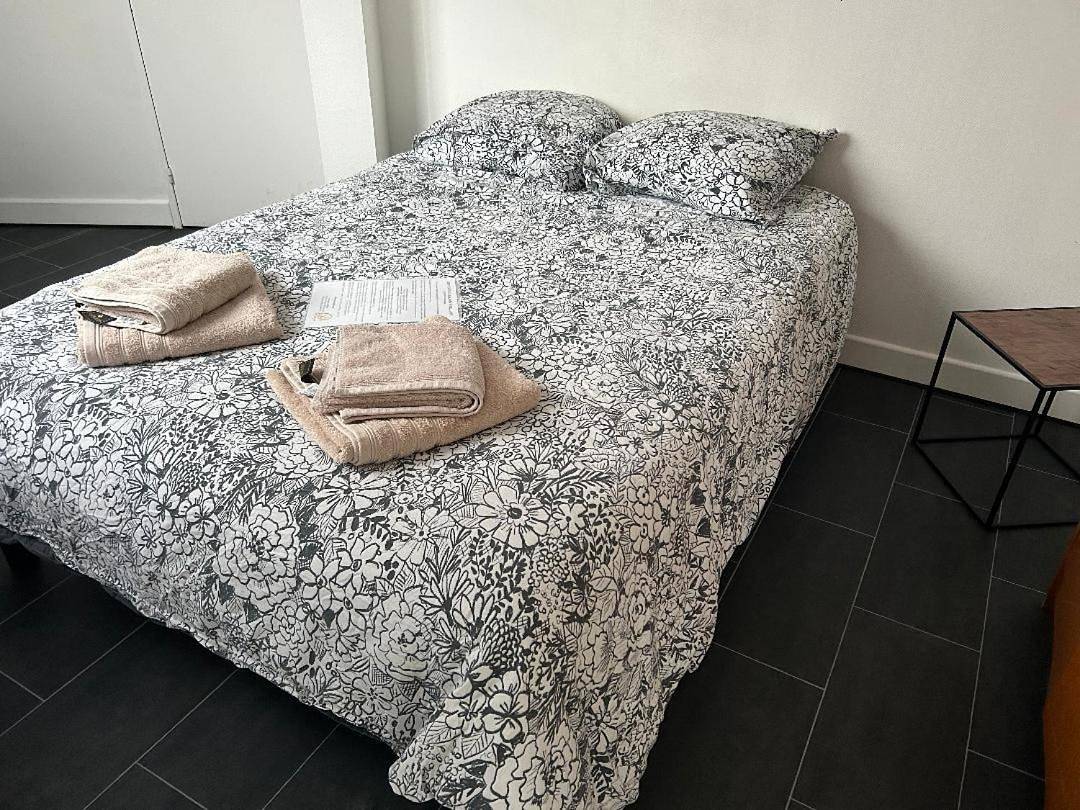 Double Room in Romorantin-Lanthenay, Sologne