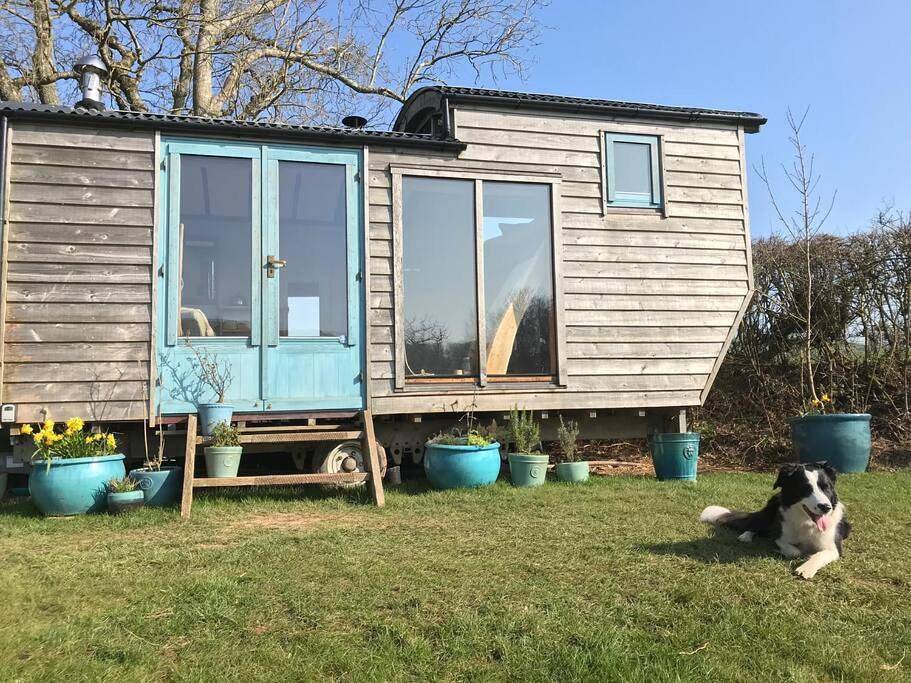 Secluded Shepherds Hut, with a view and hot tub in Ashburton, Dartmoor