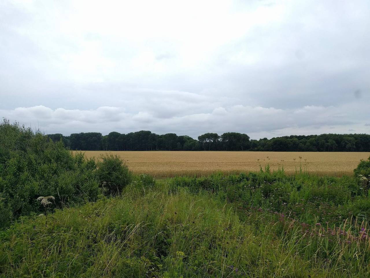 Gema costera con vistas -- By Traum Ferienwohnungen in Otterup, Nordfyn