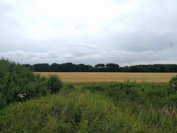 Ferienhaus für 4 Personen, mit Terrasse, mit Haustier auf Fünen - 4