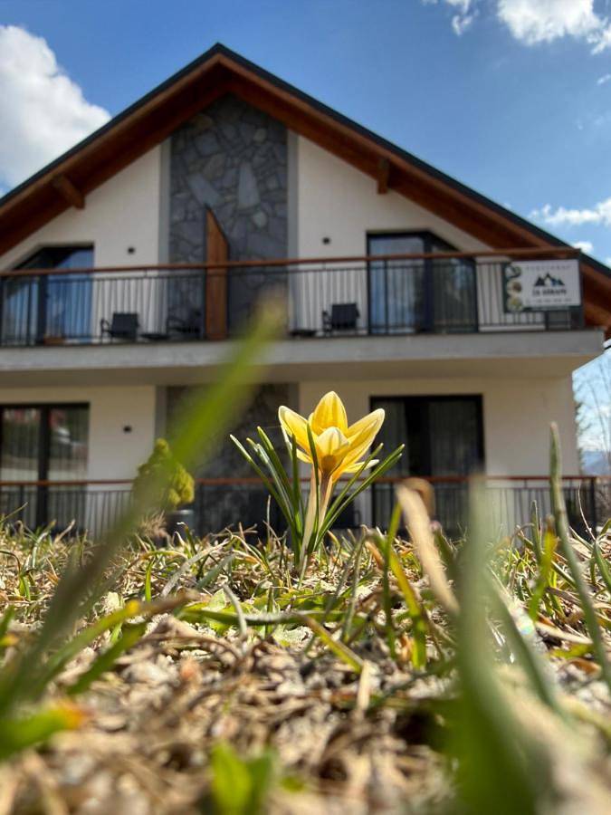 Ośrodek wypoczynkowy dla 4 osób, z ogród w Podkarpacie