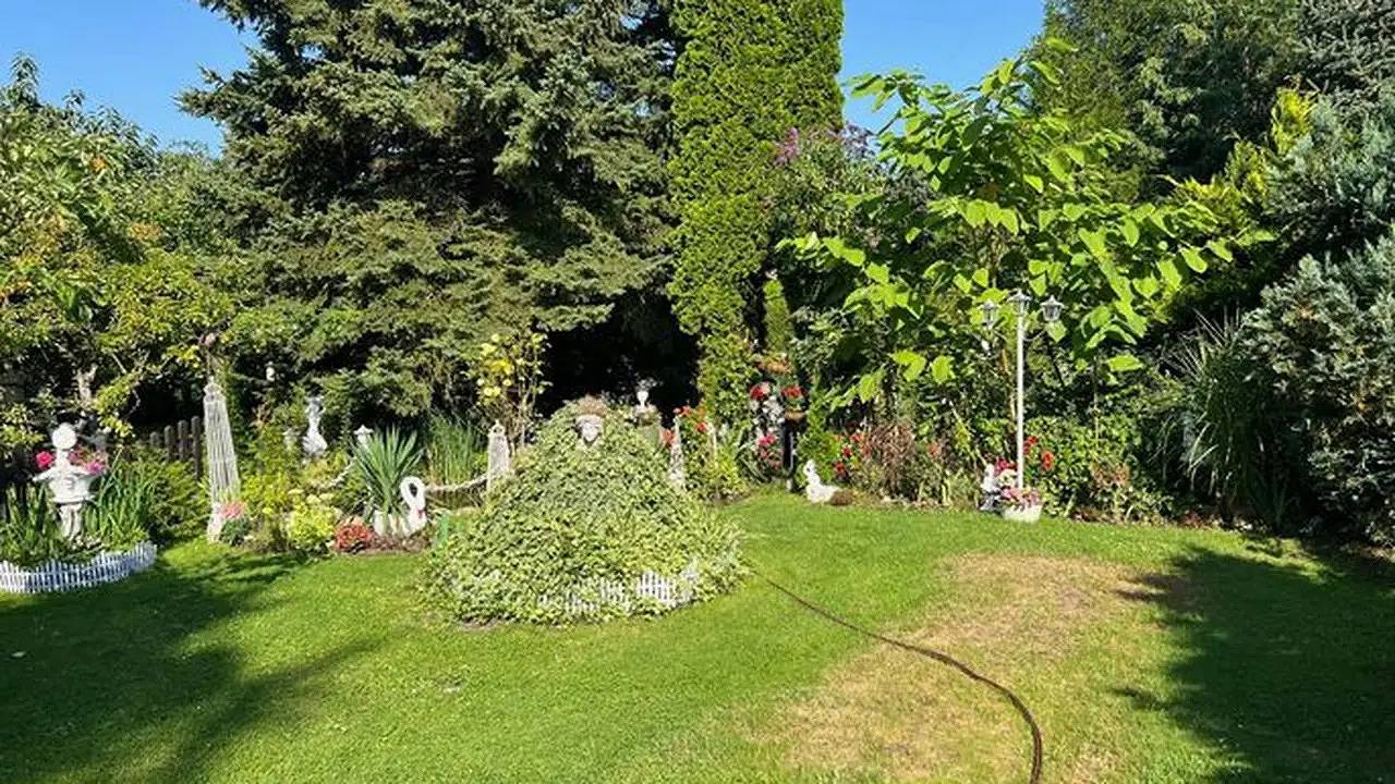 Ganze Ferienwohnung, Ferienwohnung für 2 Personen (70 m²) in Rechlin in Rechlin, Müritz