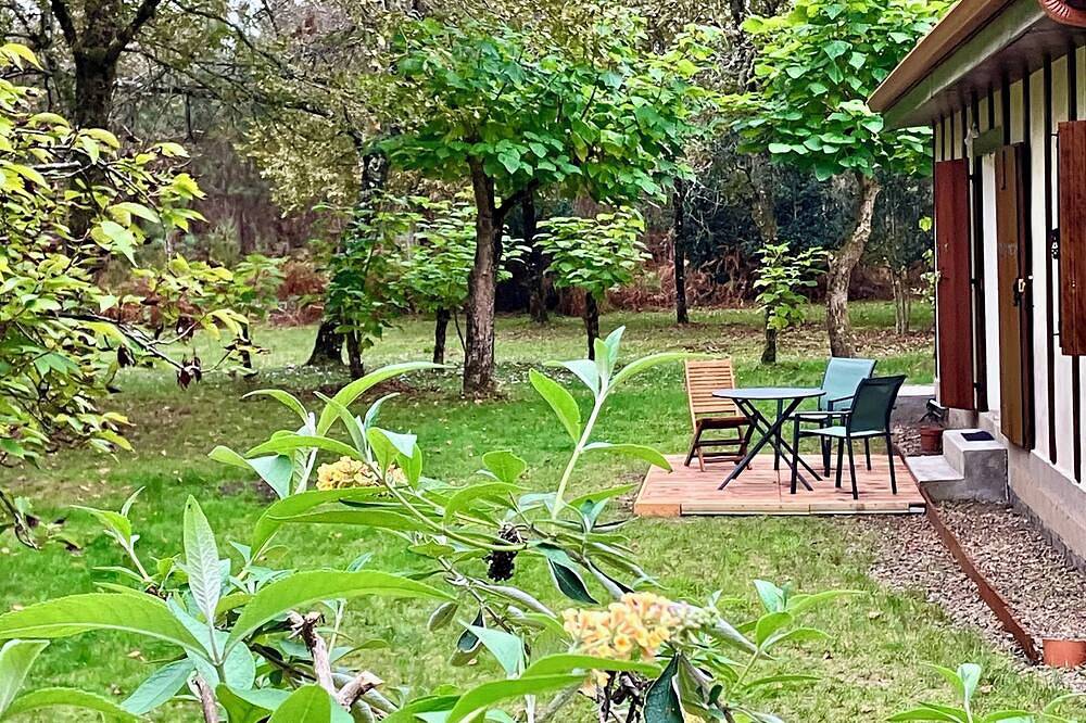 La Maison en Forêt – Your Private Retreat in Nature in Uza, Côte d’Argent