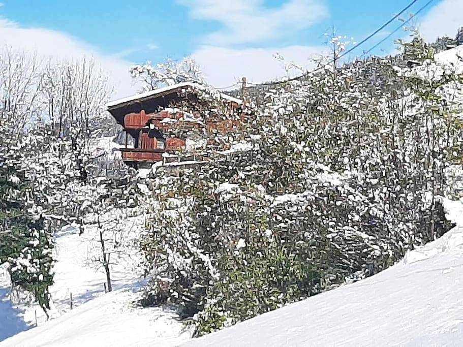 Geheel appartement, Three-Bedroom Apartment in Mayrhofen, Zillertaler Alpen