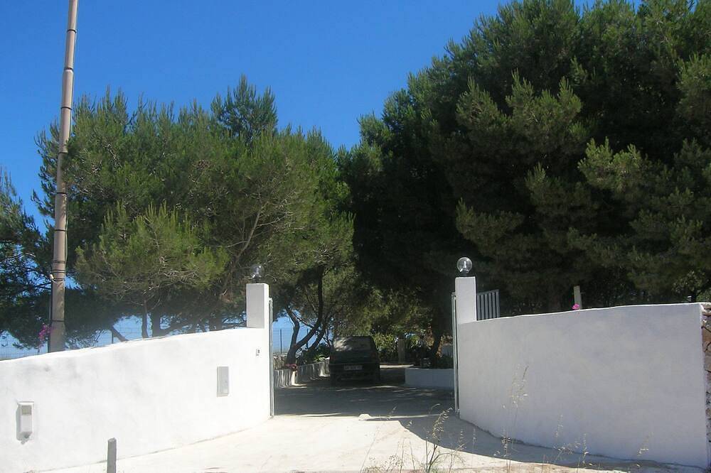 Favignana: für 2 in das Grün eines Wonderful Pinewood in Cala Rossa (Favignana), Favignana