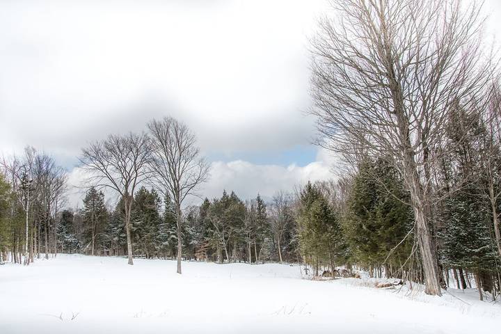 Vacation rental for 9 people, with yard and balcony, with pets in Warren
