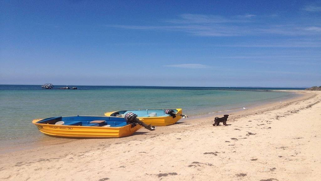 Wisteria Cottage - gegenüber dem Strand in Indented Head, Bellarine