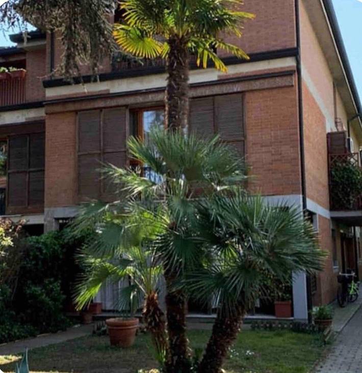 Gîte pour 3 personnes, avec jardin à Marina di Ravenna - 2
