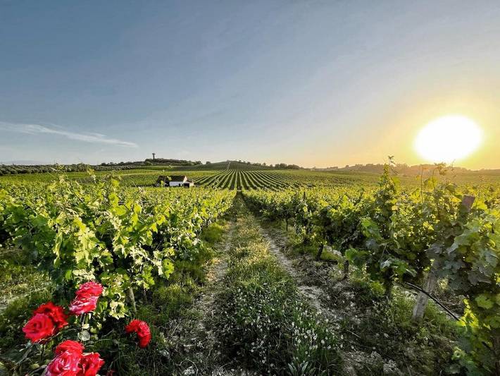 Villa pour 3 personnes, avec vue et jardin dans Alentejo - 2