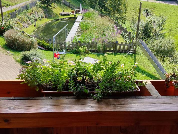 Bauernhaus für 3 Personen, mit Balkon, kinderfreundlich im Schwarzwald - 2