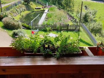 Bauernhof für 3 Personen in Schuttertal, Hochschwarzwald, Bild 1
