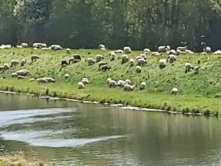 Ferienwohnung für 4 Personen, mit Garten in Wendland - 3