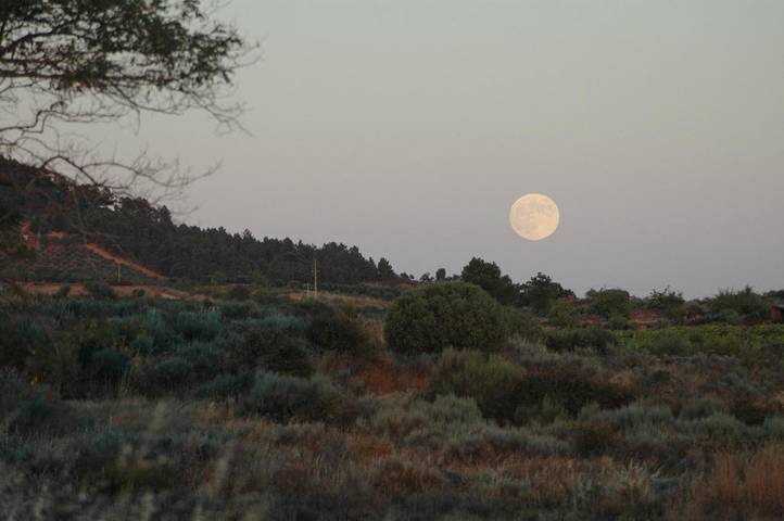 Maison de campagne pour 3 personnes, avec vue ainsi que piscine et jardin à Vila Flor - 2