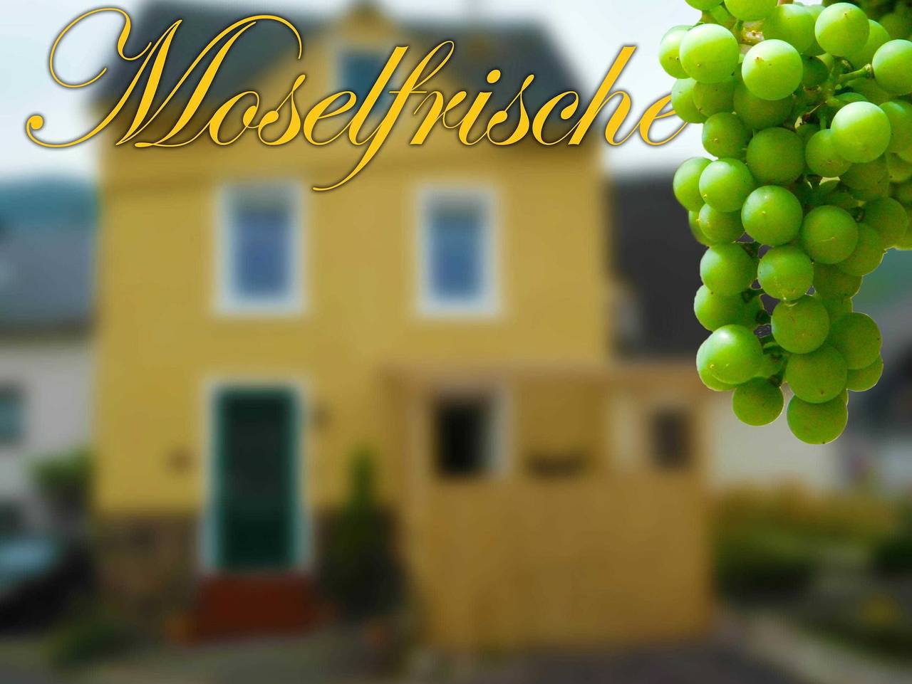Moselfrische - Fh mit 2 Sz, Dusche/ Wc, Gäste Wc, Terasse, max. 4 P in Zell Stadt (Mosel), Zell (Mosel)