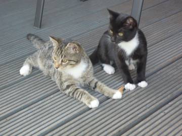 Ferienhaus für 4 Personen in Unterfranken, Bild 4