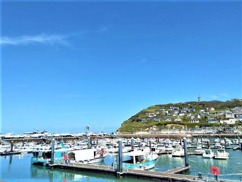 Gîtes de France® - Hydrangéas in Saint-Léonard, Región de Le Havre