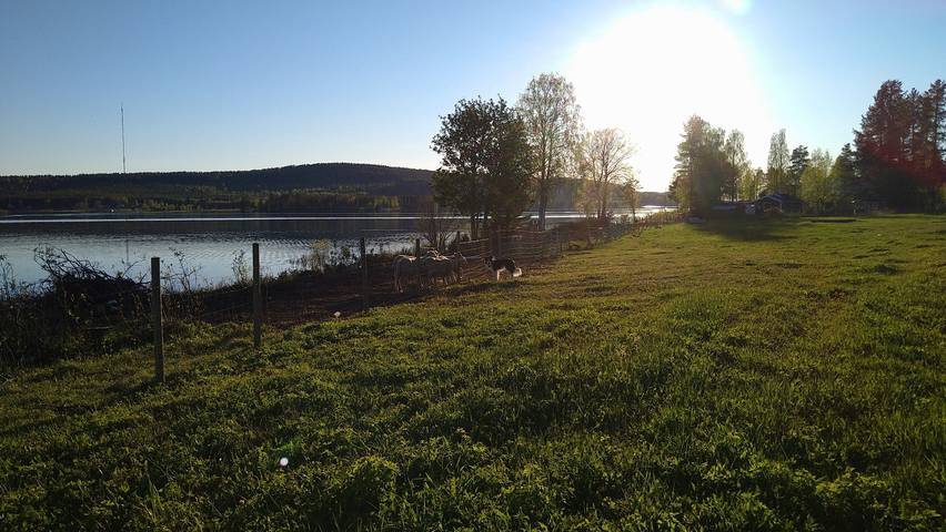 Ferienhaus für 6 Personen, mit Sauna und Garten sowie Seeblick, mit Haustier in Lappland (Schweden) - 4