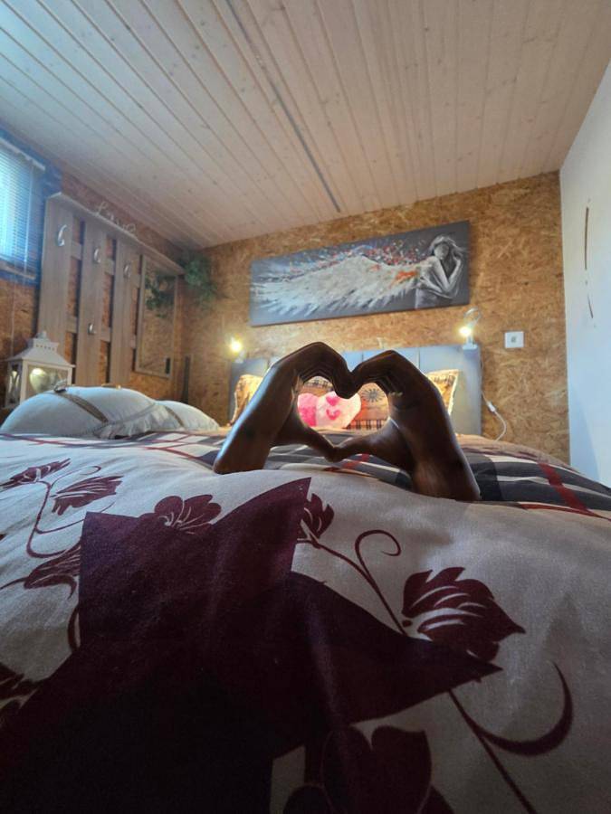 Chambre d’hôte pour 4 personnes, avec vue et jardin dans Valais - 4