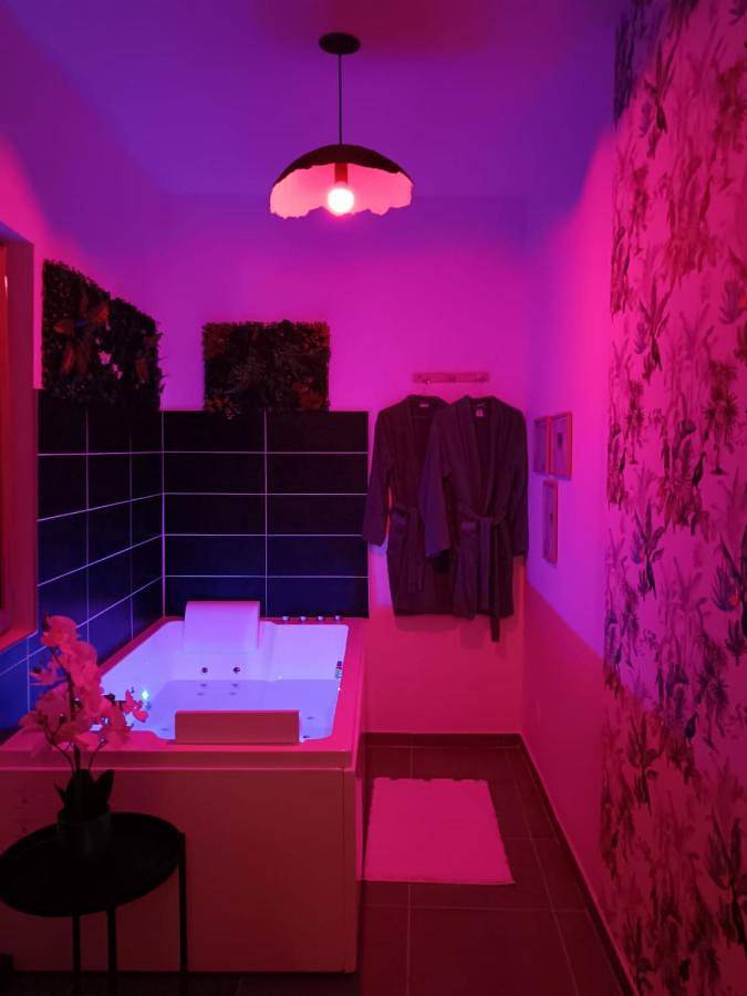 Gîte pour 4 personnes, avec balcon et jacuzzi à Bray-sur-Seine - 4