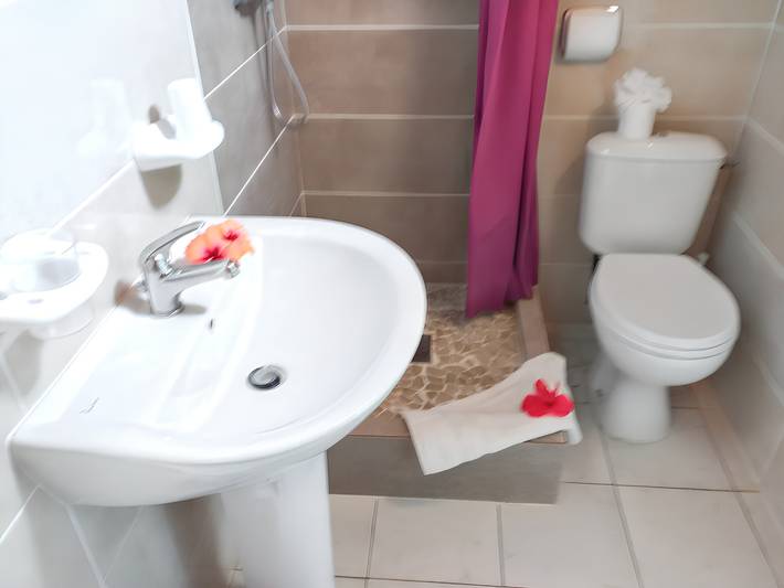 Gîte pour 2 personnes, avec piscine et balcon à Sainte-Anne (Martinique) - 4