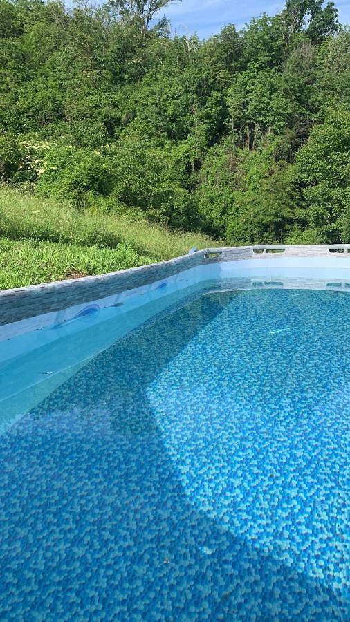 Location de vacances pour 10 personnes, avec piscine ainsi que jardin et vue, animaux acceptés à Monastero Bormida - 4