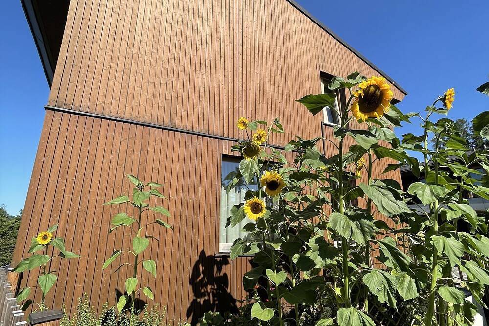 Neues Ferienhäuschen im idyllischen Ilztal. 5 Minuten nach Passau in Salzweg, Passauer Land