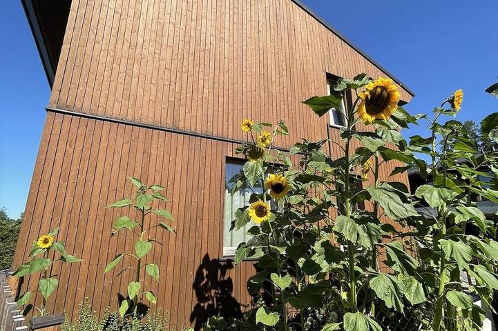 Ferienhaus für 3 Personen, mit Terrasse und Garten - 1