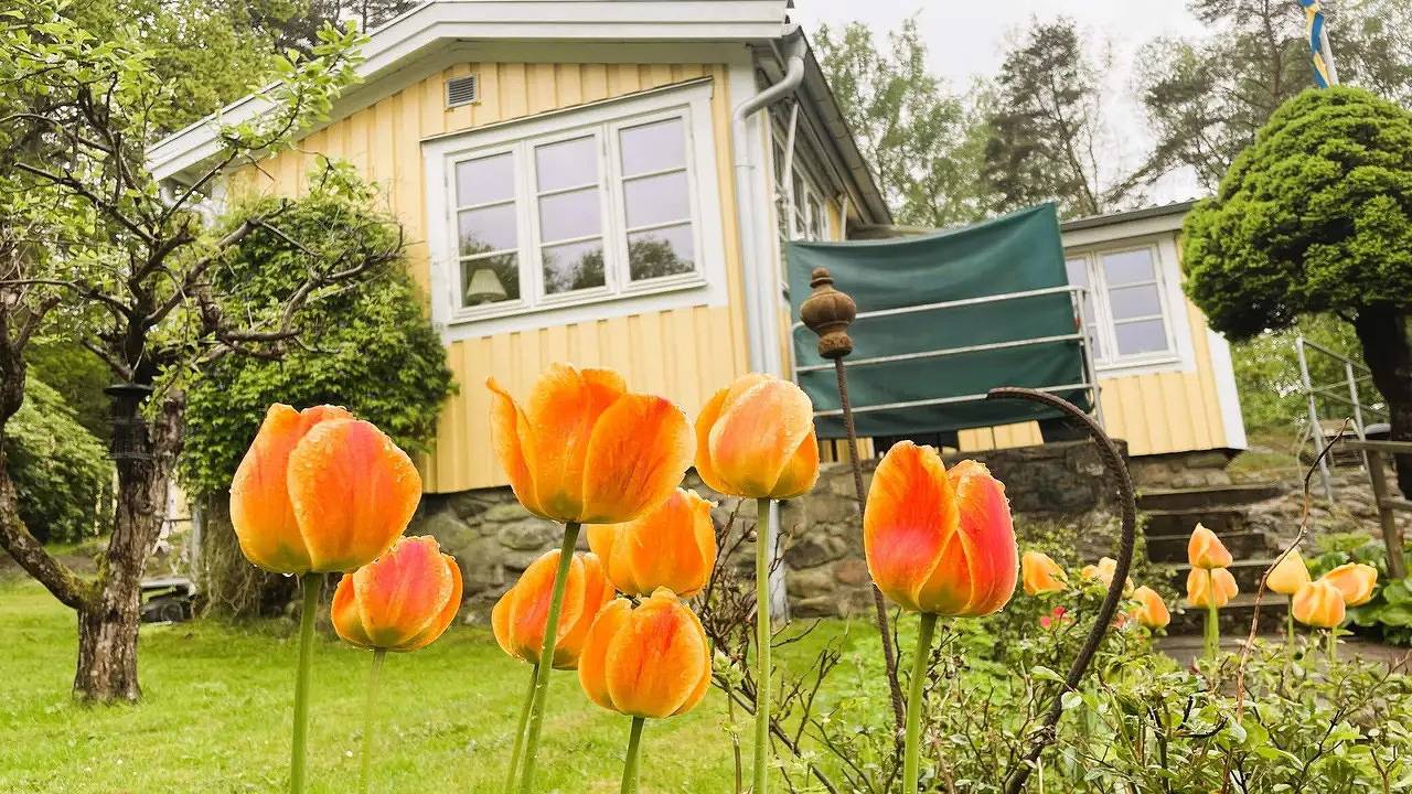 Ferienhaus für 3 Personen (40 m²) in Stenungsund in Stenungsund, Norra Västkusten