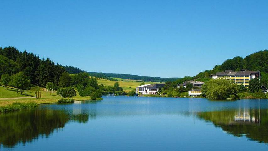 Ferienhaus für 7 Personen, mit Sauna und Garten sowie Terrasse, mit Haustier in Kirchheim - 4