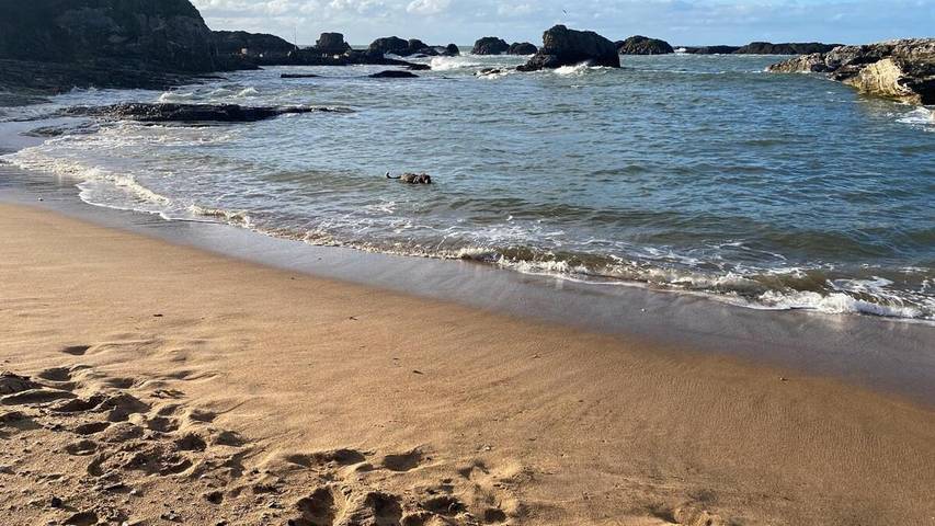 Location de vacances pour 6 personnes, avec Terrasse ainsi que Jardin et Vue à Ballintoy - 2